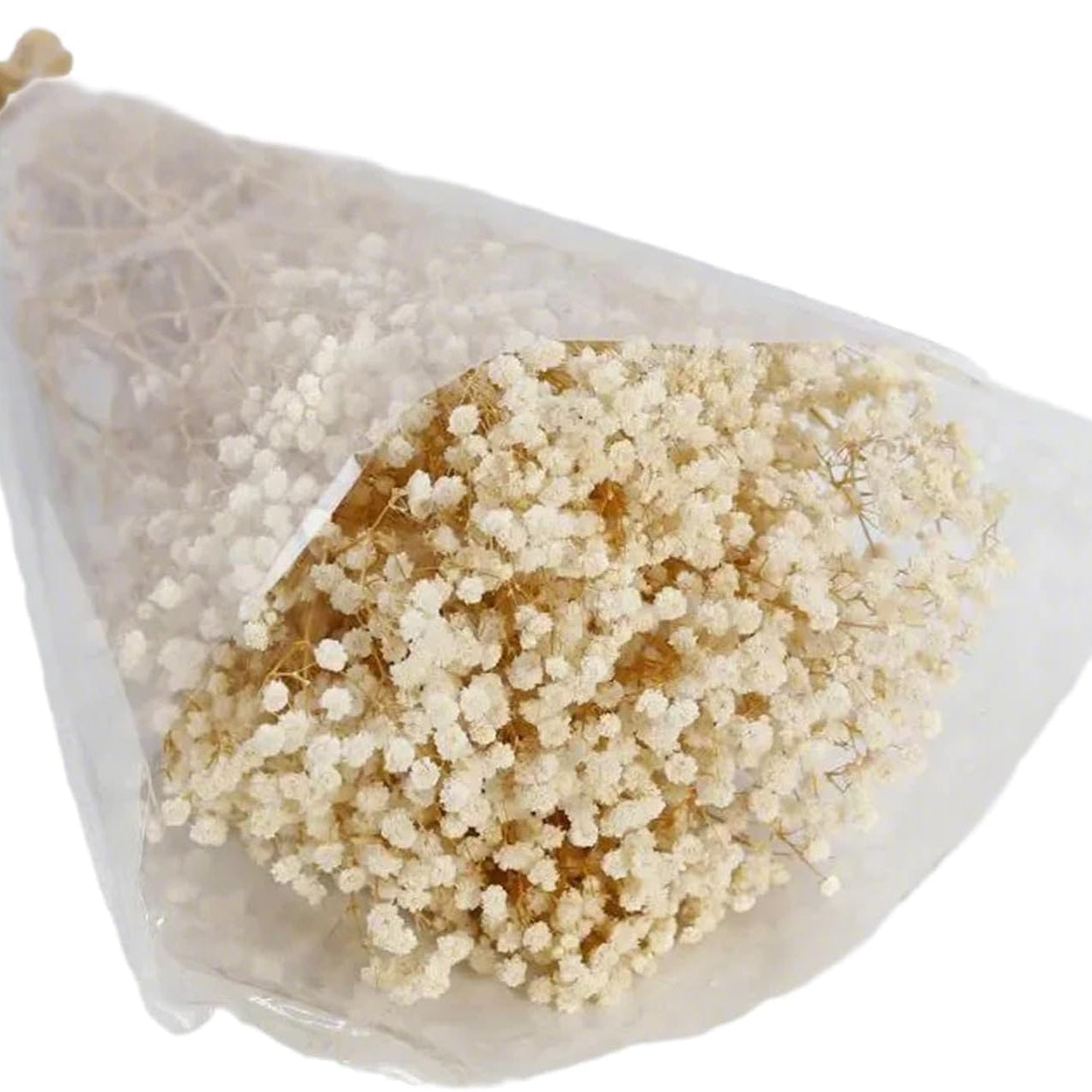 Bouquet de Fleurs Séchées Naturelles Une Touche Élégante pour Décorer les Cadeaux Beige