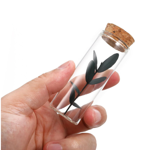 Bouteilles en verre avec bouchons en Liège 8x2.5cm,Dragées,Pour Henné et roses et cadeaux de fête